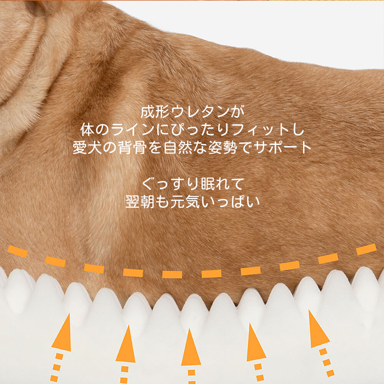 ドーナツ型ペットベッド 厚手クッション 3D低反発ウレタン 背骨サポート 関節保護 波型マッサージデザイン 通気性抜群 ムレにくい 頭部＆首サポート 洗濯機対応 撥水素材 お手入れ簡単 犬猫兼用 年中使える 小型犬 中型犬 大型犬対応-Giipet