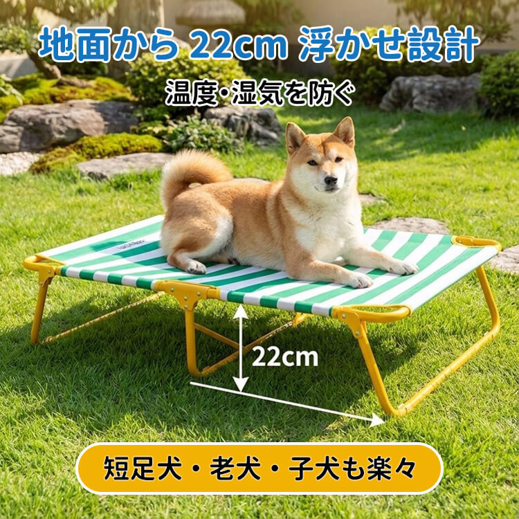 広ストライプペット用行軍ベッド 折りたたみ式 60kg耐荷重 頑丈 丈夫 通気性 涼しい 接触冷感 暑さ対策 蒸れない 湿気対策 高床式 大型犬 シニア犬 お手入れ简单 ストライプ柄 おしゃれ アウトドア レジャー