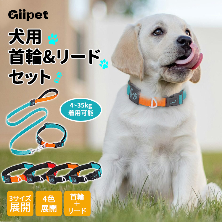 犬用コントラスト配色首輪リードセット ペット用牽引ロープ 360°フィット ソフト 調節可能 4色展開 スペースコットン裏地 高密度ポリエステル 丈夫 耐久性 小型犬 中型犬 大型犬対応 D型リング安全設計 着脱簡単 快適 おしゃれ-Giipet
