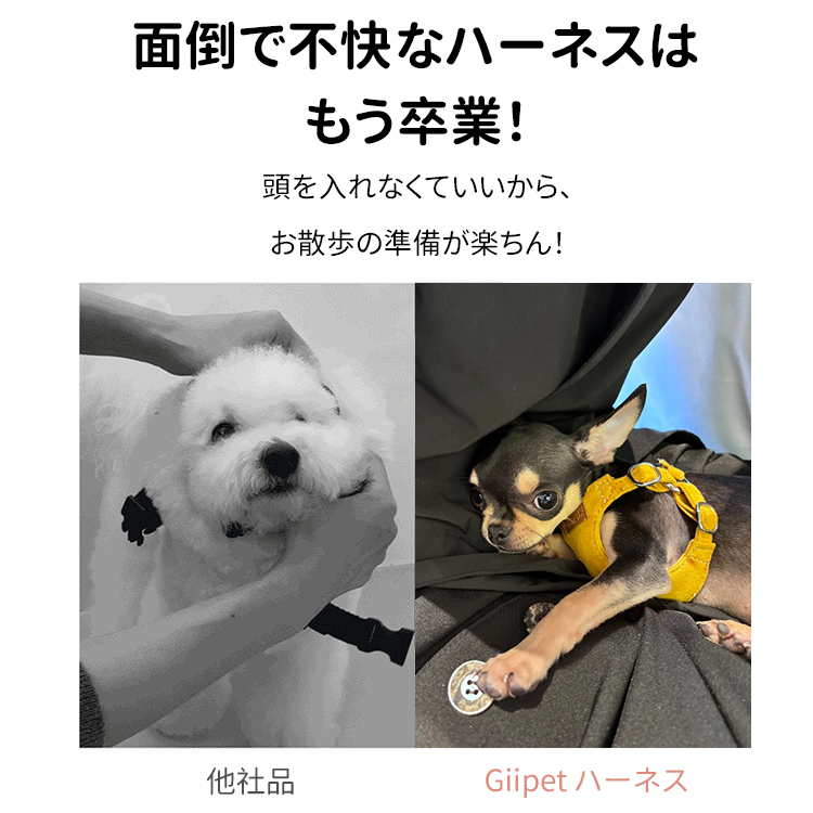 小型犬用ハーネスセット