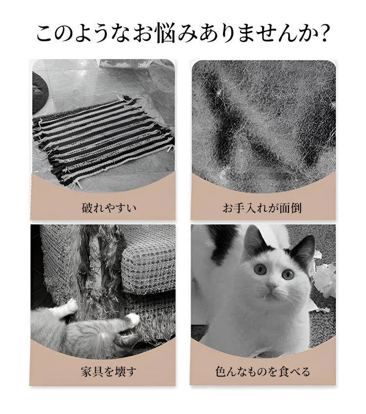 販売済み 猫 マット を 食べる