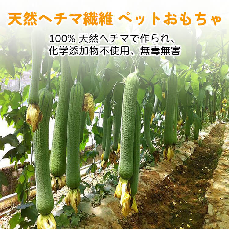 ペットおもちゃ 天然ヘチマ 歯磨き 猫 おもちゃ キャットニップ入り 噛むおもちゃ ストレス解消 歯垢除去 運動不足解消 植物繊維 安全 丈夫 一人遊び 室内 猫用玩具 清潔 衛生的