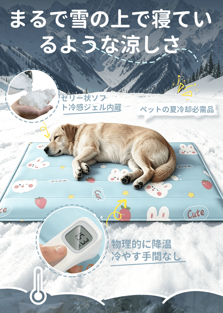 详情_03.png