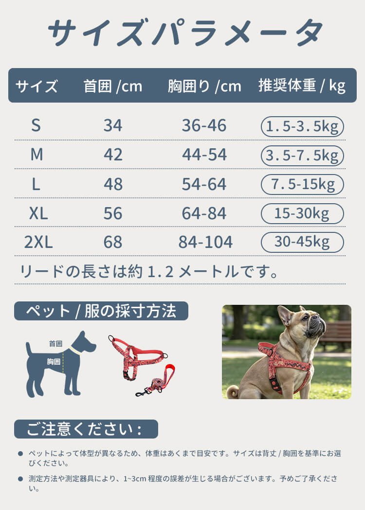 image-13.jpg