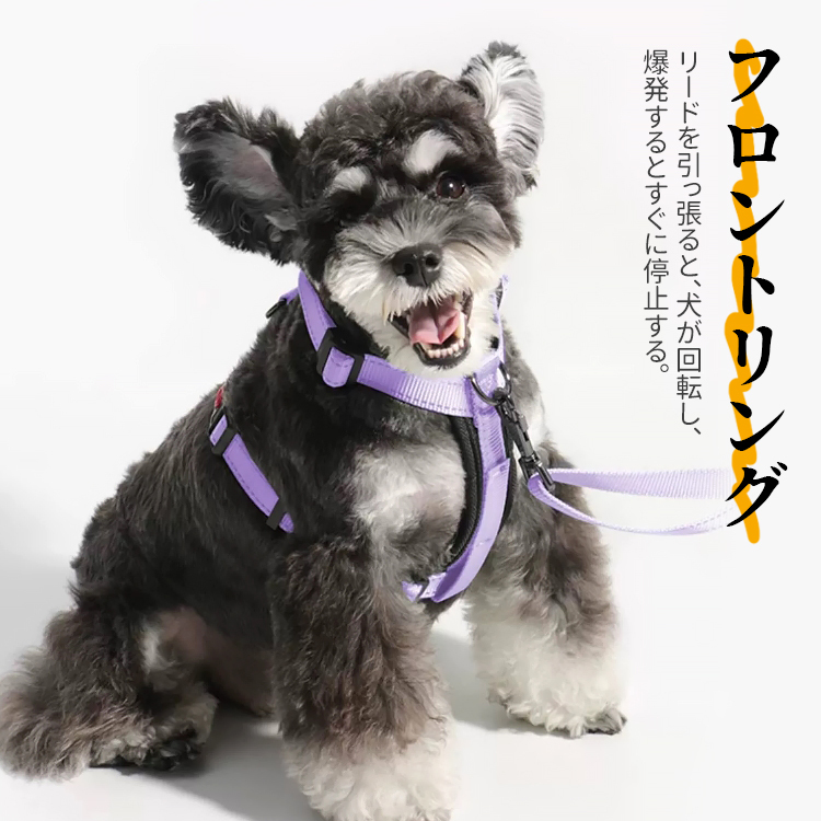 Giipet-軽量ハーネス 犬用ハーネス 犬用胴輪 ドッグ ペット用品 ハーネスリード 3M反射材料 訓練 ナイロン製 小型犬、中型犬、大型犬に向け 通気性 調節可能 夏に対応