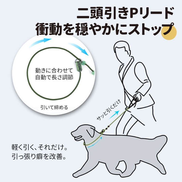 絡まり防止二頭引きリード ダブルハンドル 愛犬2匹同時お散歩 急な飛び出し・引っ張り癖改善 高強度クライミング ナイロン製 50kgまで対応 手に優しい設計 長さ調整可能 多機能 多頭飼い犬用リード