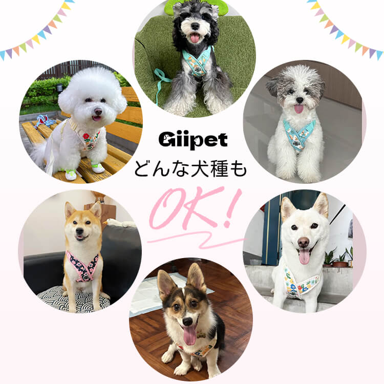 Giipet-ペットクロス型花柄ハーネスセット