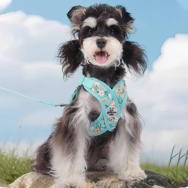 Giipet-ペットクロス型花柄ハーネスセット