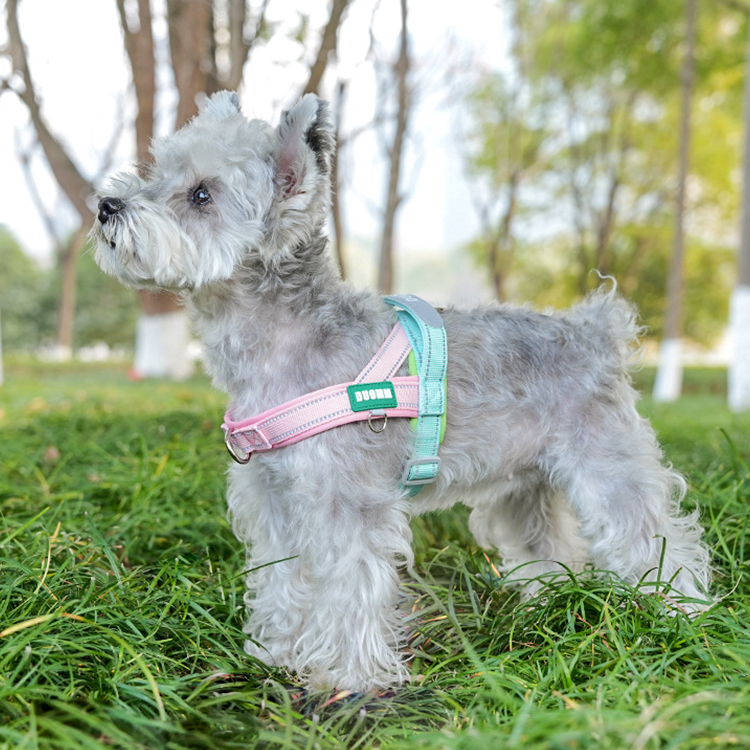 T字型ハーネス 引っ張り防止 胴輪 首輪 衝撃吸収 脱げない 抜け出し防止 首への負担軽減 反射材 クッション入り 夜間散歩 安全 通気性 ワンタッチ着脱 簡単装着 中型犬 大型犬 小型犬