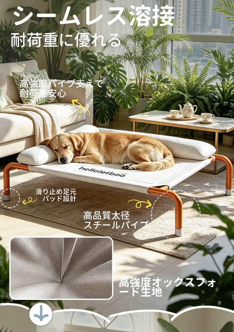 详情(橙色)_05.jpg