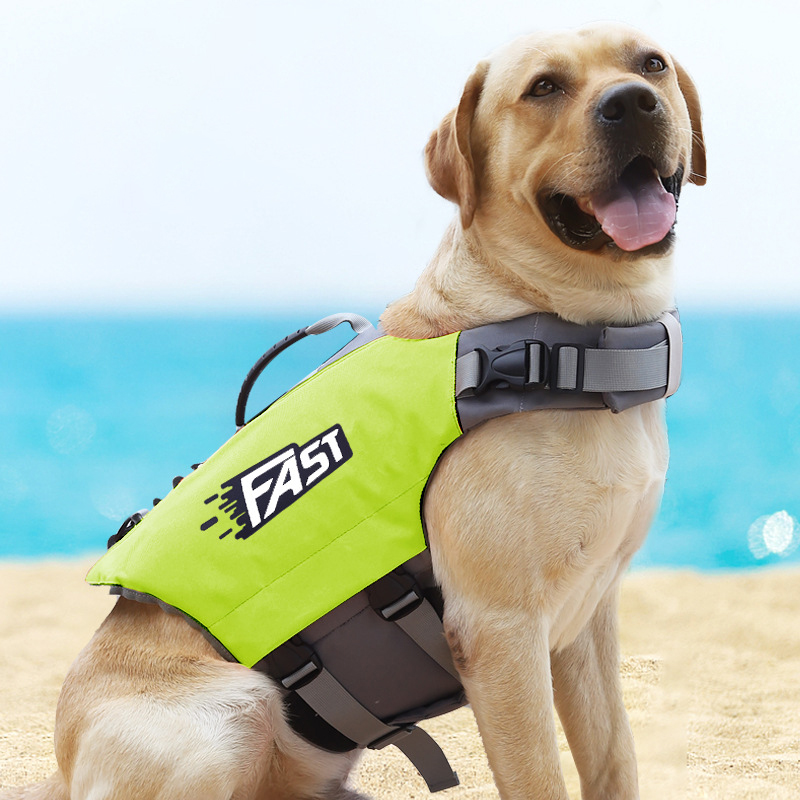 アウトドア仕様犬用ライフジャケット