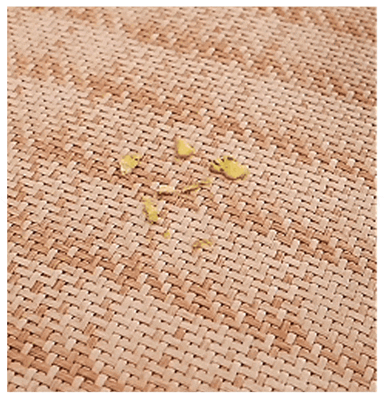 _24.gif