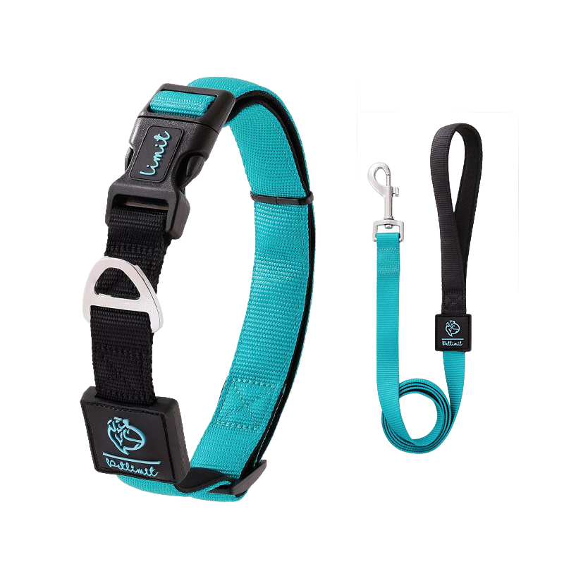 犬用コントラスト配色首輪リードセット ペット用牽引ロープ 360°フィット ソフト 調節可能 4色展開 スペースコットン裏地 高密度ポリエステル 丈夫 耐久性 小型犬 中型犬 大型犬対応 D型リング安全設計 着脱簡単 快適 おしゃれ-Giipet