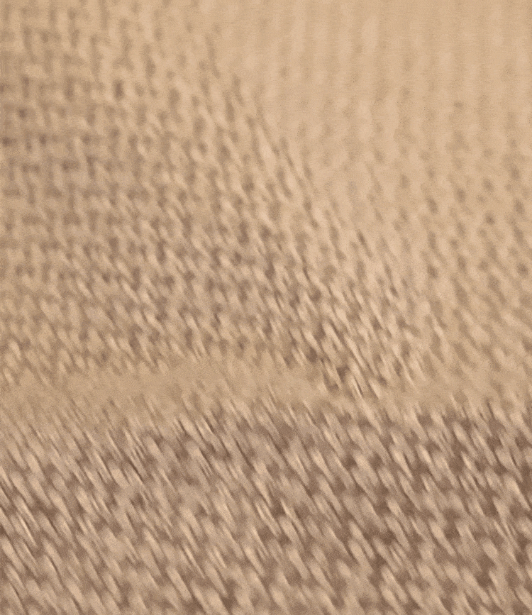 4586.gif