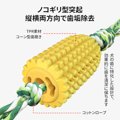 コーン型歯磨きスティック