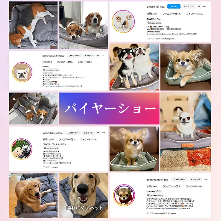 Amazon.com: Graphic 45 Raining Cats & Dogs Set of 12 Sheets