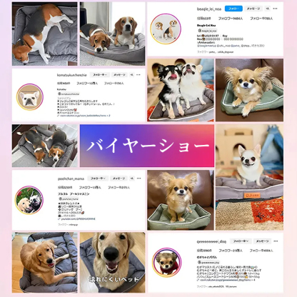 Giipet-ペットベッド　オールシーズン対応　破れにくい　耐噛み　ふわふわ　持ち運びに便利　2点目半額　手袋ブラシを贈る　犬　ねこ　猫