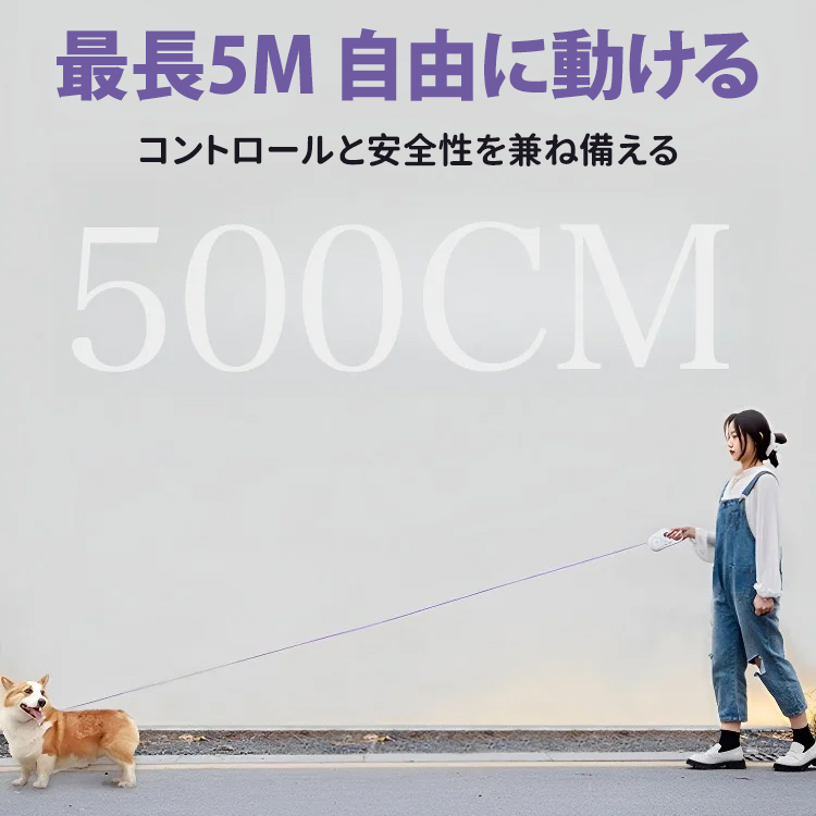 ライト付き伸縮リード