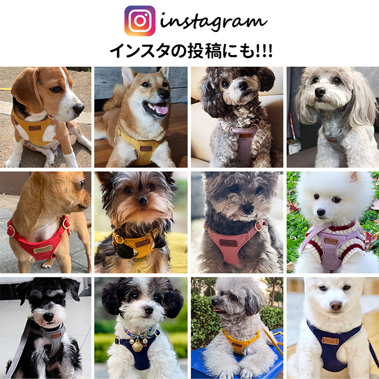 小型犬用ハーネスセット