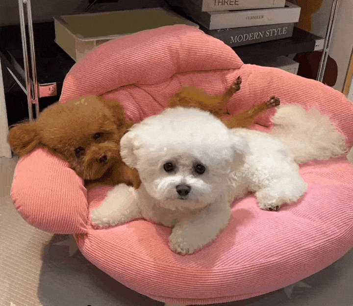 da1721716888376.gif