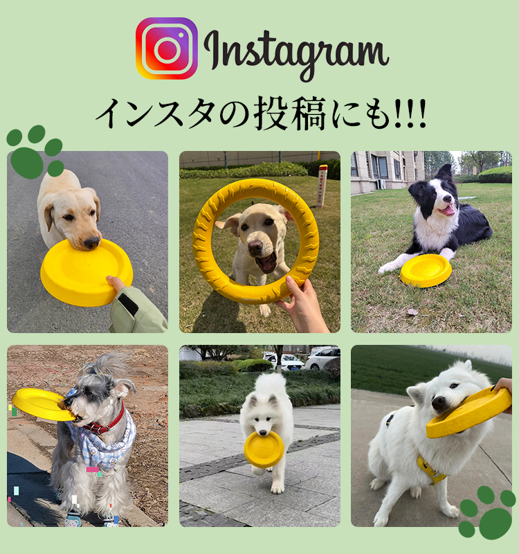 giipet-犬用EVAフリスビーおもちゃ