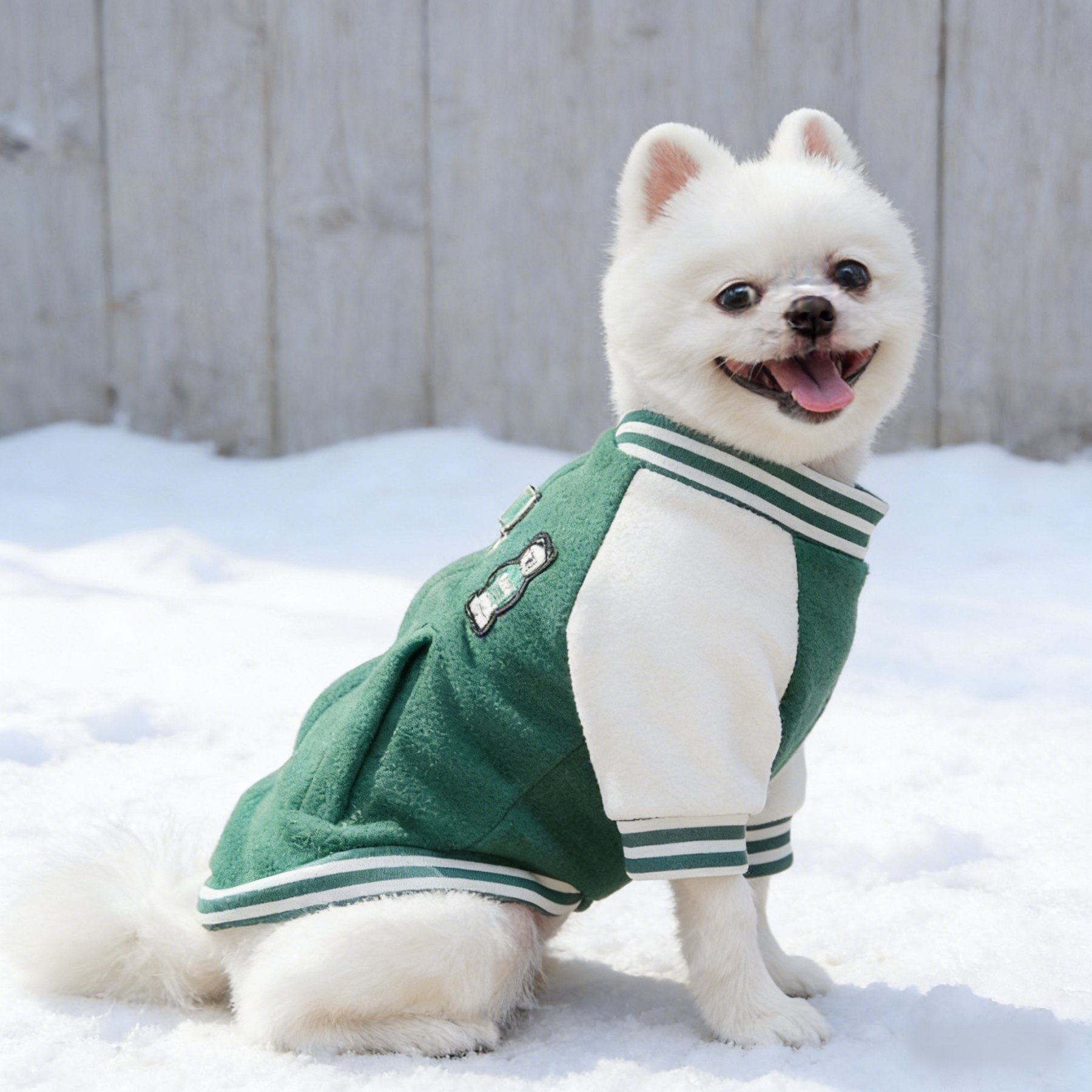 ペット用スタジャン あったか蓄熱フリース 極暖厚手 高密度 防寒保温ドッグウェア -5℃対応 ハイネック 着脱簡単 動きやすい カレッジ風 立体ポケット付き 毛玉防止 洗濯OK 小中型犬 シニア犬 全年齢対応 秋冬用 お散歩お出かけ 寒さ対策-Giipet