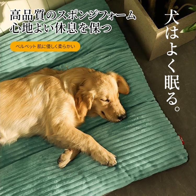 犬 ストア 用 クッション