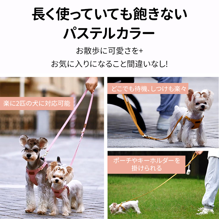小型犬用Y字型ハーネス＆リードセット 高密度ポリエステル製 耐久性