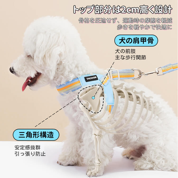 犬用Y字型ハーネス&リードセット 中小型犬向け 虹色レインボーカラー 軽量メッシュ素材 通気性抜群 首締め付けない 引っ張り防止 骨格圧迫しない快適設計 サイズ調整可能 着脱簡単 丈夫なPUレザー素材 お散歩が快適に