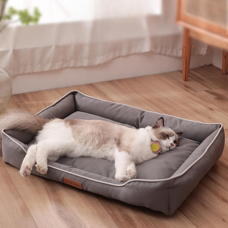 猫ちゃんの退屈感を解消！効果的な猫のおもちゃとインタラクション-Giipet