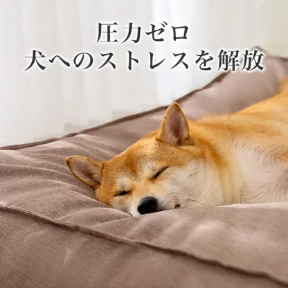 足腰・関節にやさしい 高齢犬介護 子犬 猫 多頭飼い 洗える 取り外せるカバー 滑り止め 中型犬 小型犬 通年使える