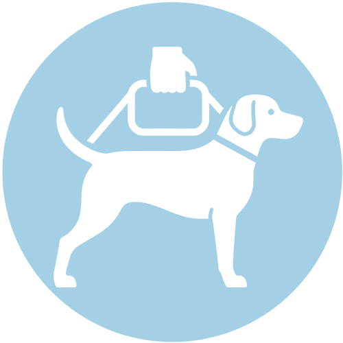 犬 介護