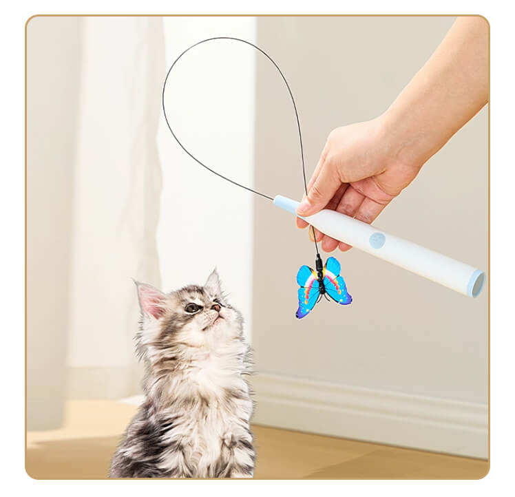 じゃれねこ『10月☆蝶々⑧』 電動ねこじゃらし 蝶々 Type-C充電式 強力吸盤 360度自動回転 おもちゃ