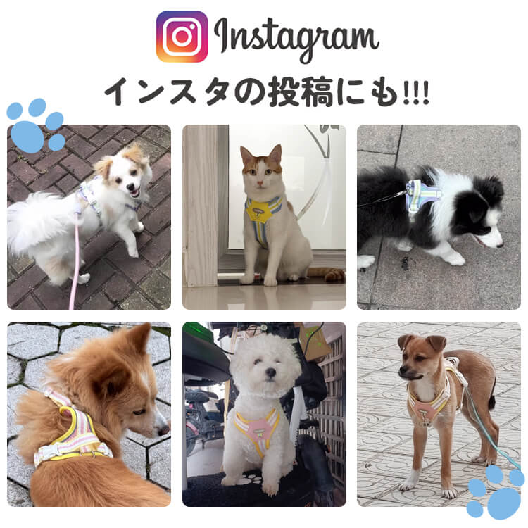 ふわり雲感犬用ベスト型ハーネス リードセット 抜けにくい 一体型デザイン 3秒装着 軽量 通気性抜群 反射材付き 散歩用 首を締め付けない 小型犬 中型犬 子犬 多色展開 おしゃれ かわいい