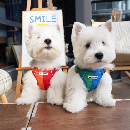 犬 ハーネス 胴輪 ペット用 反射材付き 夜道も安心 通气性 クッション性 負担軽減 引っ張り防止 4つの調整バックル 衝撃吸収 丈夫 ナイロン素材 小型犬 中型犬 大型犬 アウトドア 四季適用