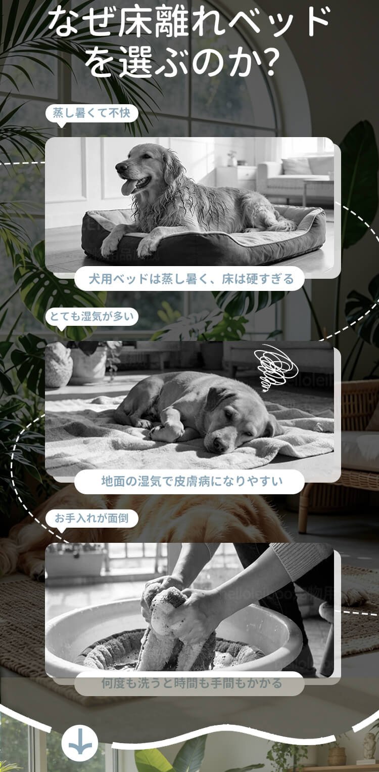 详情(橙色)_02.jpg