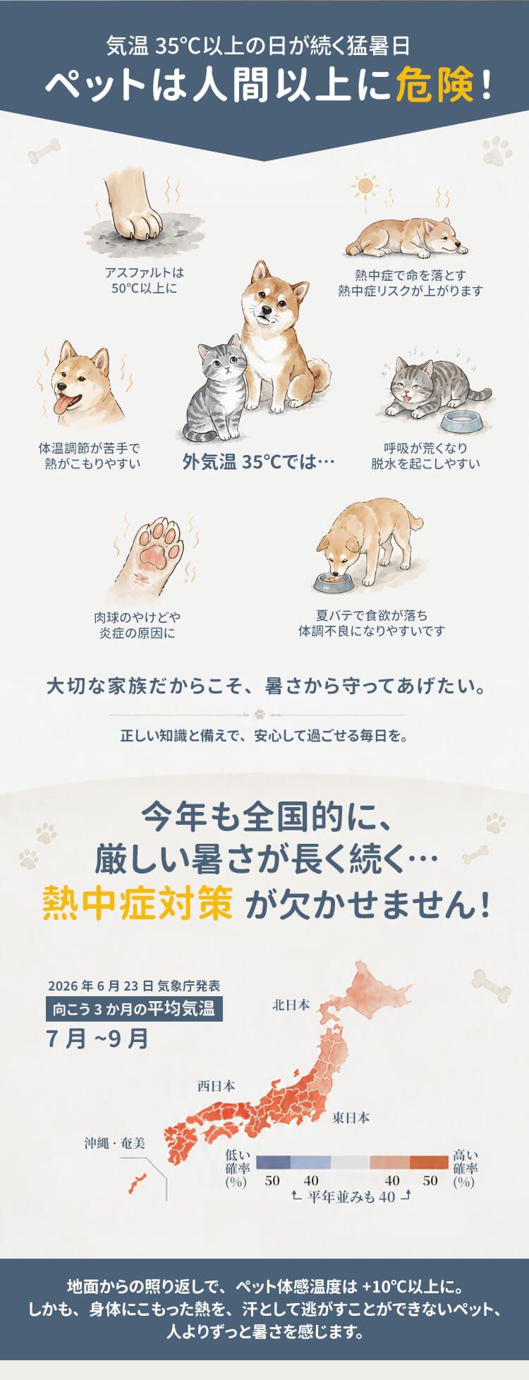 详情_02.jpg