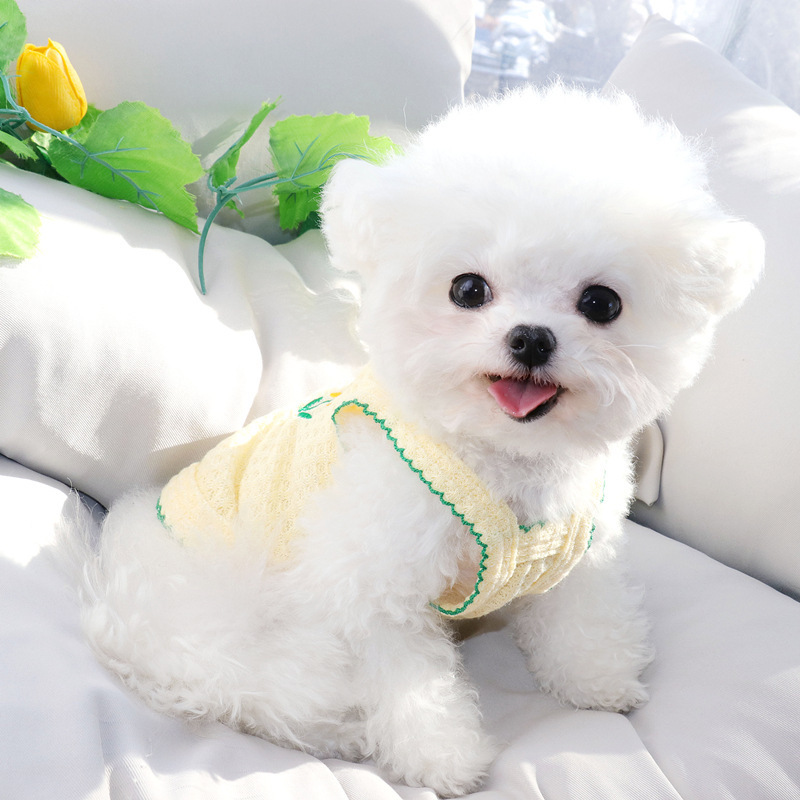 犬猫用夏服キャミソール 締め付けない 蒸れない 究極の快適さ 通気性抜群 薄手軽量ウェア 子犬小型犬向け 春夏に最適 抜け毛つきにくい 多色展開 立体裁断 高弾性 動きやすいストレスフリー設計
