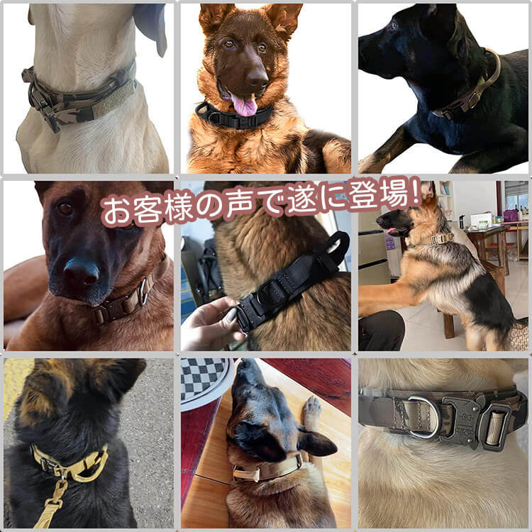 犬用タクティカル首輪&リードセット 中型犬・大型犬向け 丈夫なナイロン製 亜鉛合金バックル 首に優しい幅広クッション設計 快適なフィット感 引っ張り防止 安全対策 お散歩グッズ 調節可能