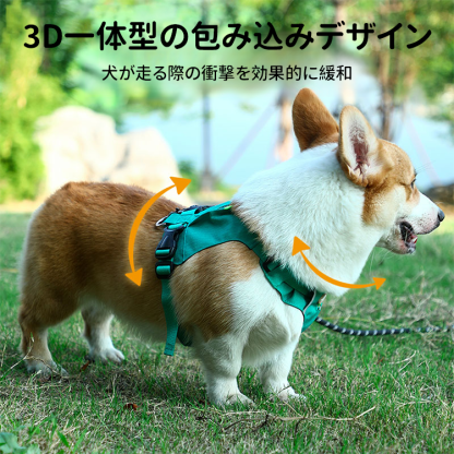 犬用反射テープ・ポケット付きハーネス式リード