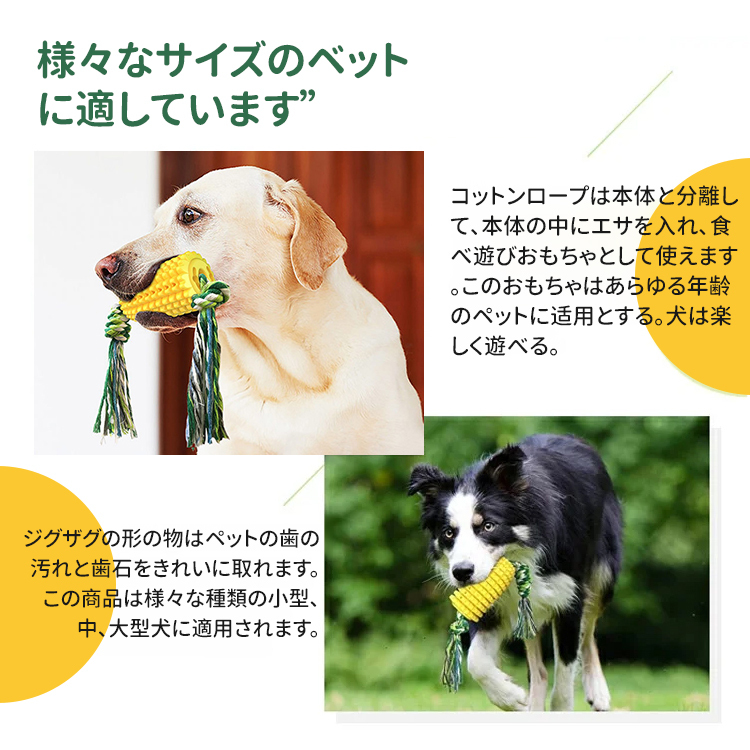 コーン型歯磨きスティック