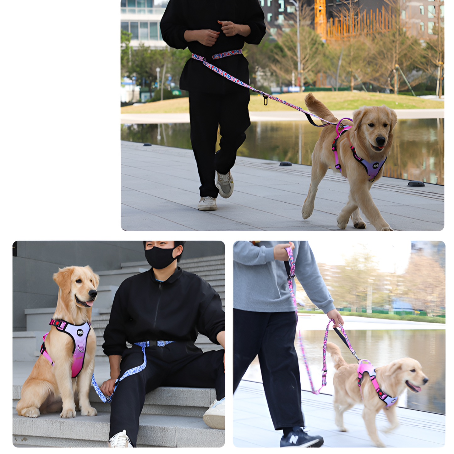 新しいペット防爆牽引ロープクロスボディランニング牽引ロープハンズフリー犬のリード犬のリード