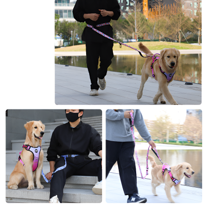 新しいペット防爆牽引ロープクロスボディランニング牽引ロープハンズフリー犬のリード犬のリード
