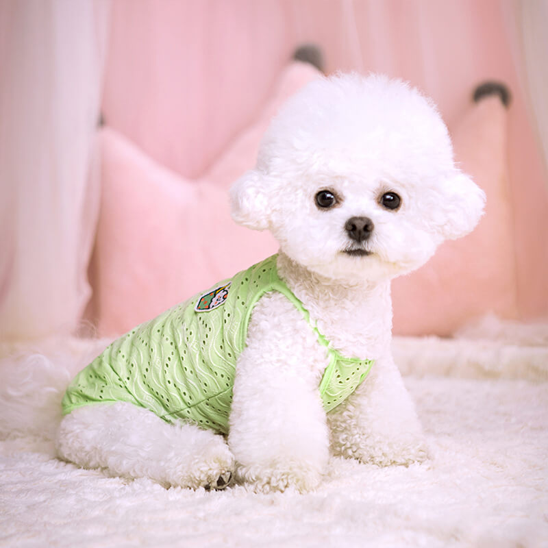 ベスト型の小型犬用服