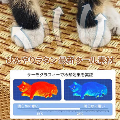 ひんやりラタン編みペットベッド 猫犬兼用 夏用 クールベッド 高耐荷重10kg 接触冷感 通気性抜群 木製 安定 湿気対策 熱中症対策 蚊除け 爪とぎ防止 お手入れ簡単 取り外し可能 型崩れしにくい 丸形/楕円形 小型犬 中型犬 大型猫 子猫 涼しい