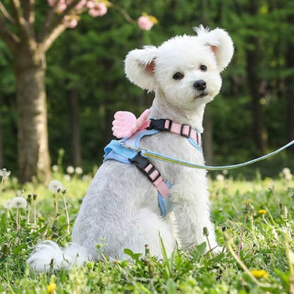 犬用ハーネス 天使の羽付き 胴輪 防爆走 衝撃吸収 非圧迫設計 負担軽減 通気性 ハニカムメッシュ 4点調整 毛挟み防止 ワンタッチ着脱 360度回転クリップ 小型犬 中型犬 猫 かわいい お散歩用品