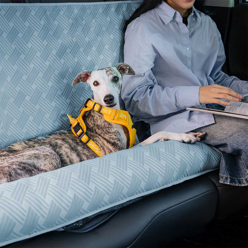ペット用車載パッド ドライブシート 犬猫兼用 防水防汚加工 滑り止め仕様 クッション入り 車内シート保護 取り付け簡単 旅行・通院・お出かけに最適 小型犬 中型犬対応 洗濯可能 丈夫な耐久素材 四季通用