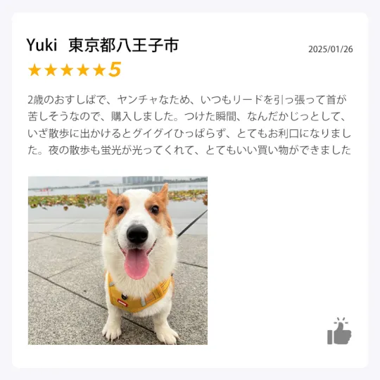 Product review 1