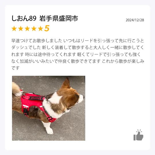 Product review 2