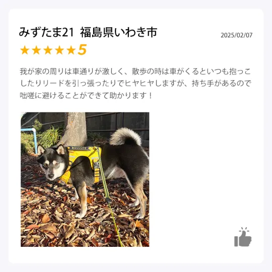 Product review 3